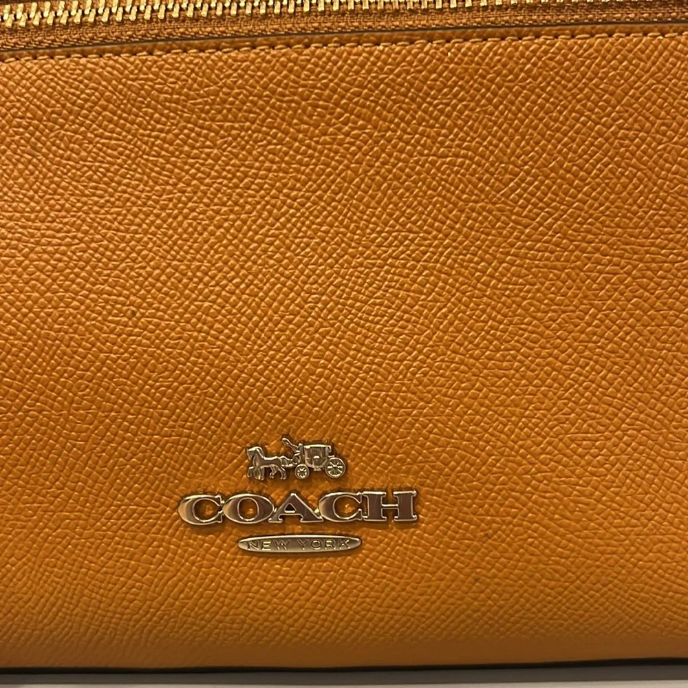 Coach leather backpack